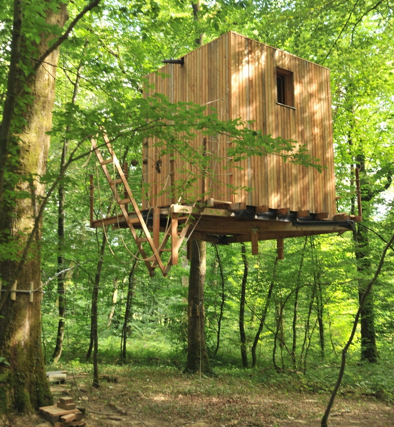 Une cabane rustique suspendue dans les arbres